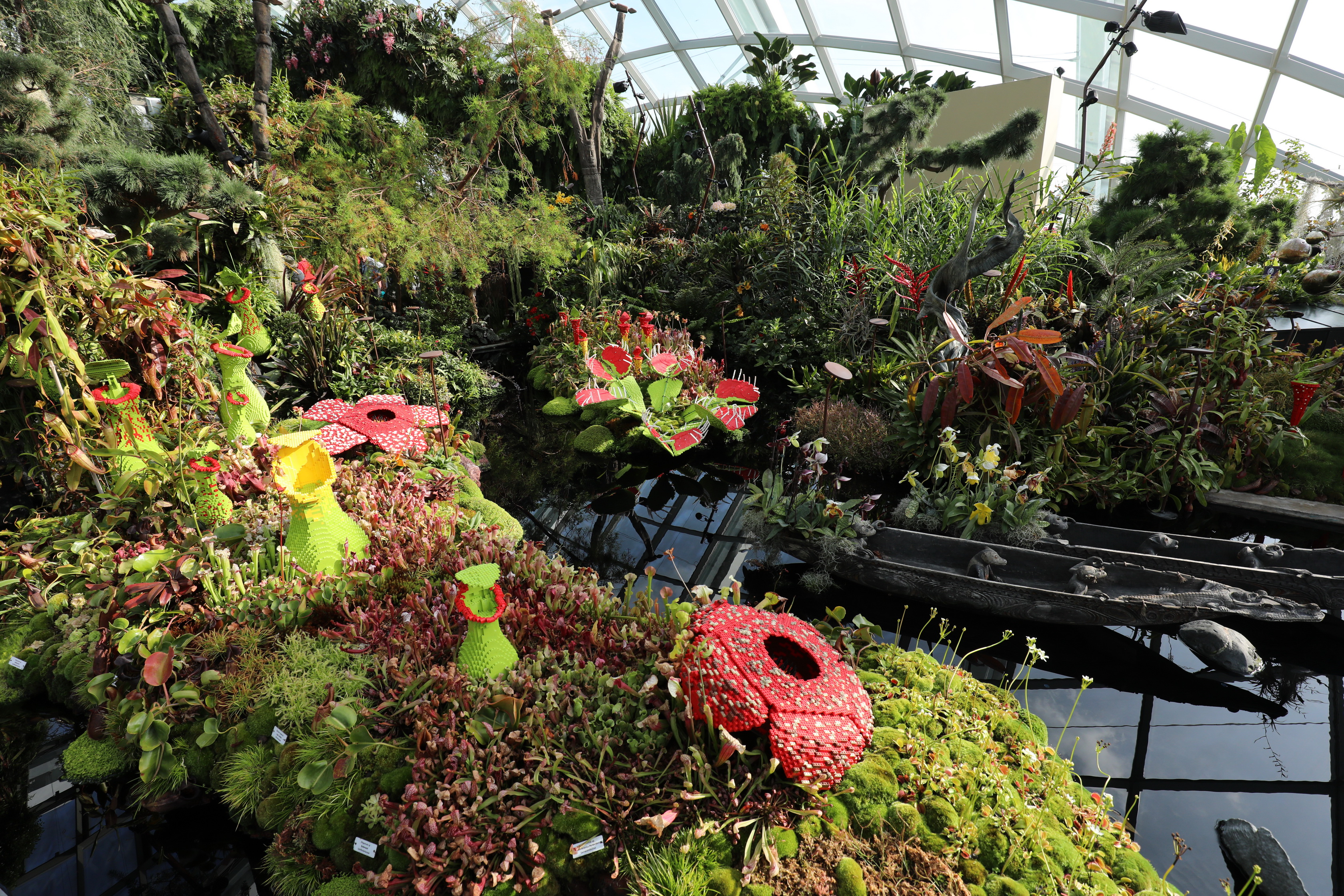 2020 02 03 17 17 33 Canon EOS 5D Mark IV 0038